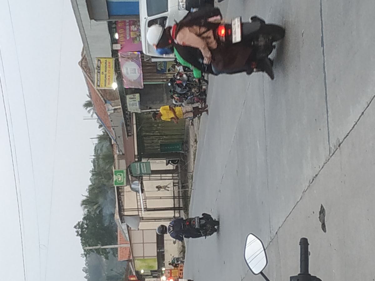 Pertunjukan Topeng Monyet yg masih dilakukan