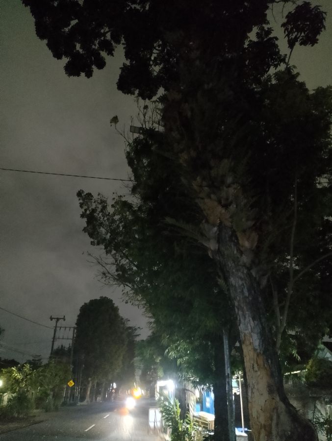PJU 